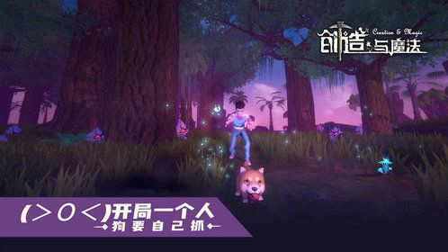 创造与魔法破解版下载v1.0.0600