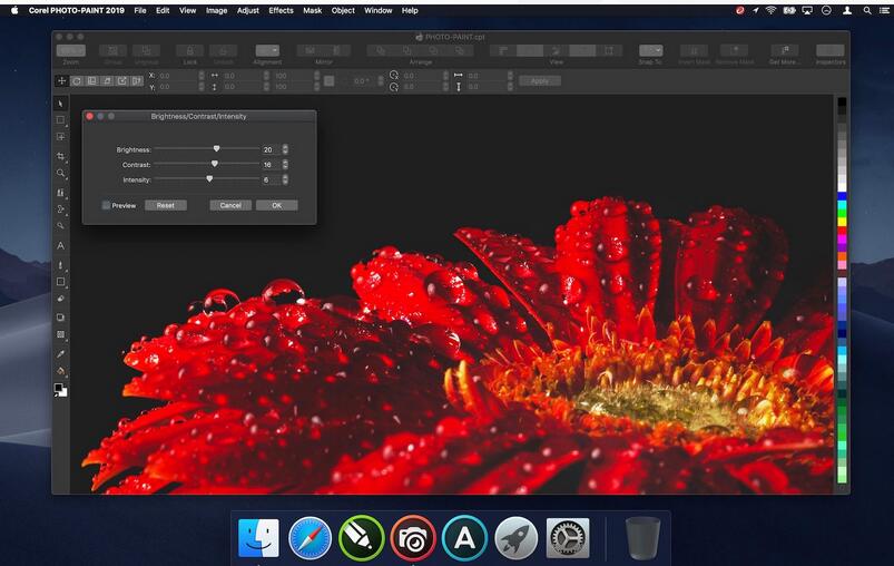 CorelDRAW Graphics Suite 2019 For Mac v21.0.0.593破解版 附注册机