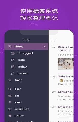 bear熊掌记appV1.0.1 安卓版