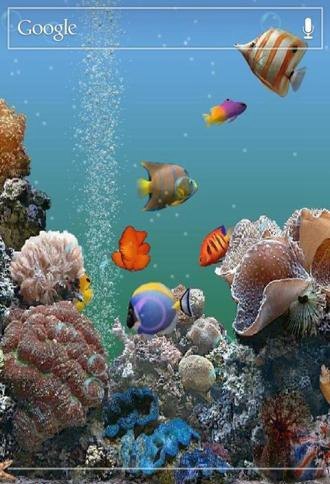 3D海底世界动态壁纸手机壁纸V6.4 安卓版