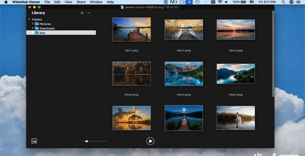 WidsMob Viewer Pro For Mac(图片浏览器) v1.3