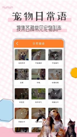 猫语翻译宝app官方版v1.1.6