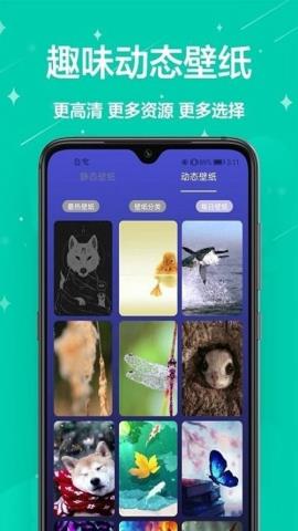 主题君app官方版v1.0.0