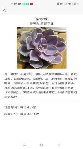 嘟嘟多肉植物鉴APP下载v1.0