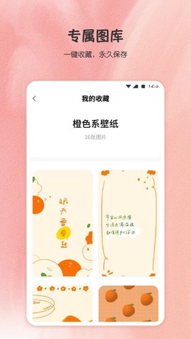 小王壁纸APP免费版v1.0.0