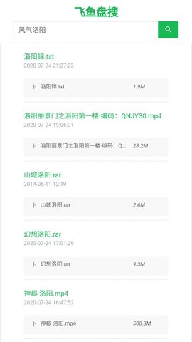 飞鱼盘搜软件v1.0