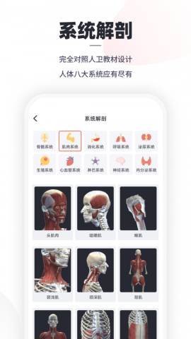 口袋人体解剖APP破解版v2.1.4