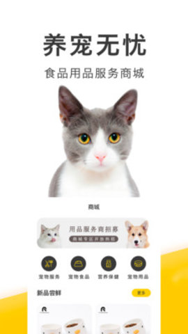 买只宠物app官方版v2.2.5
