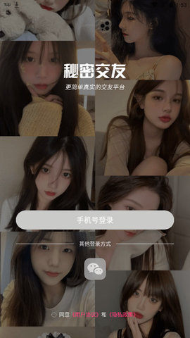 秘密交友安卓版v1.0.4