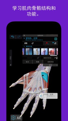 人体解剖学图谱2022+版v1.00.050