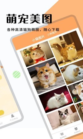 猫狗翻译机APP安卓版v1.1