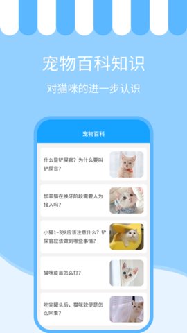 人猫交流神器app官方版v3.5.6