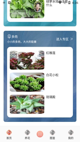 梦想鲜花app红包版v1.1