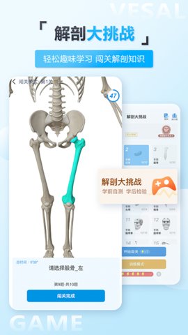 维萨里3D解剖app破解版v5.5.0