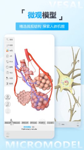 维萨里3D解剖app破解版v5.5.0
