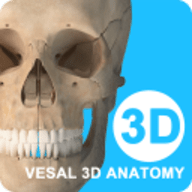 维萨里3D解剖app破解版