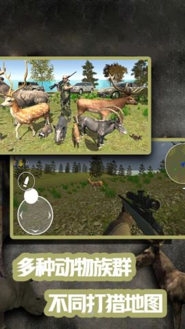 荒野狩猎模拟器官方版v1.1
