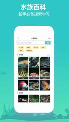 泡泡水族app下载v2.1.3