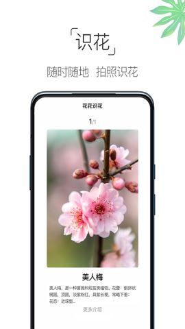 养花大全app安卓版v4.3.4