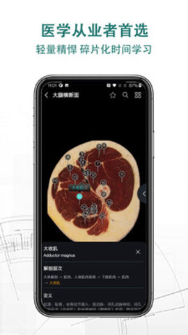 掌上3D解剖app手机版v2.0.0