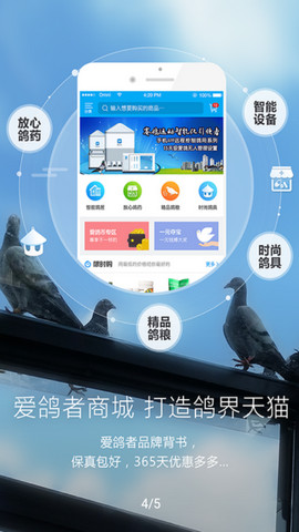 爱鸽者官方版v3.0.0