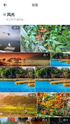 蜂鸟摄影app官方版v5.0.8
