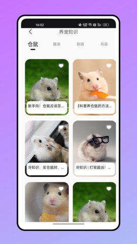 仓鼠翻译器中文最新版v1.0.0