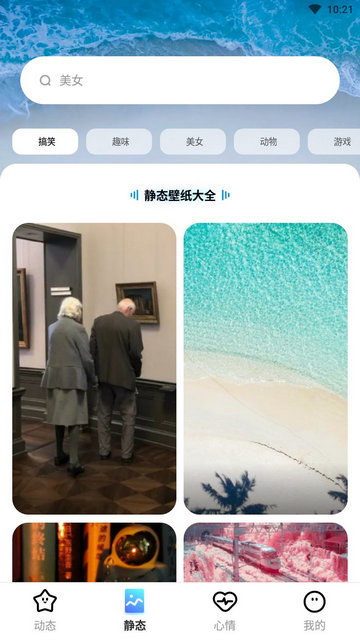 海星壁纸APP手机版v1.0.0
