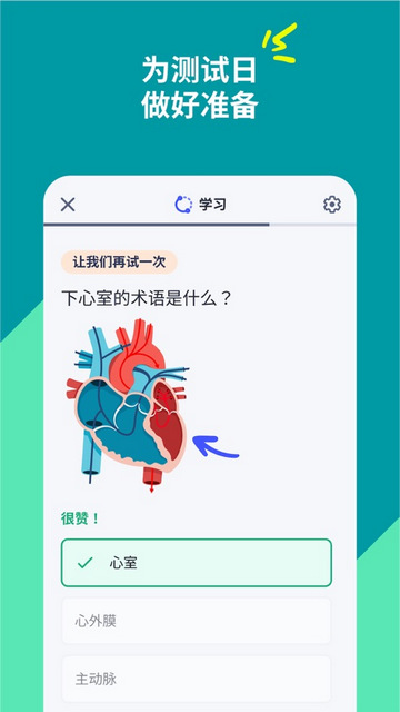 Quizlet软件官方版v13.4.1