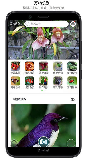 万物识别下载安装手机版v2.1.61.240429