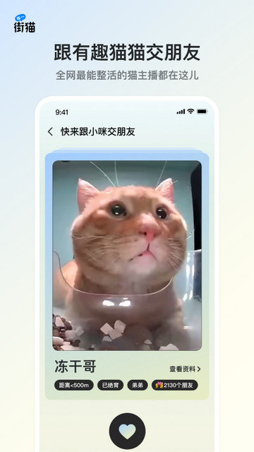 哈啰街猫app下载v1.28.5