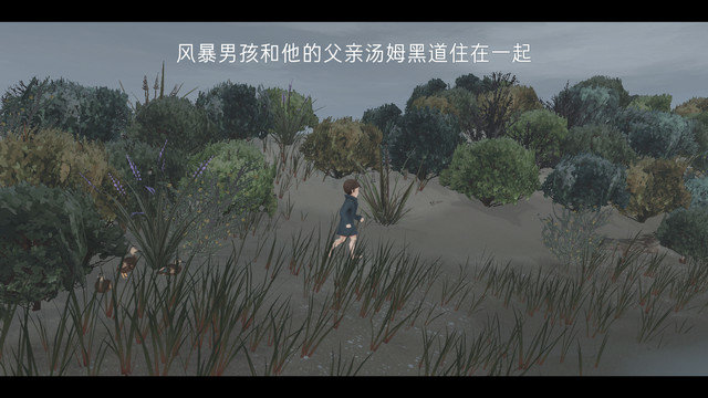 男孩与鹈鹕免费下载v1.0.2