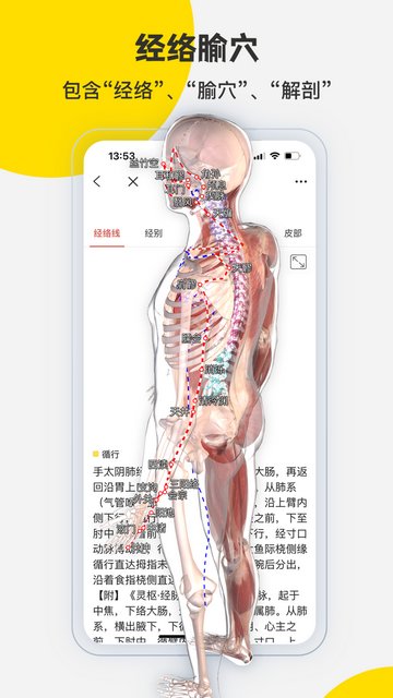 3dbody解剖图手机版v8.8.21