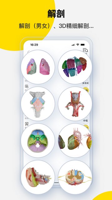 3dbody解剖图手机版v8.8.21