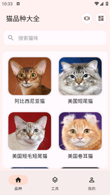 猫品种大全去广告版v1.0.6