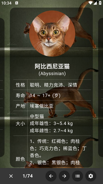 猫品种大全去广告版v1.0.6