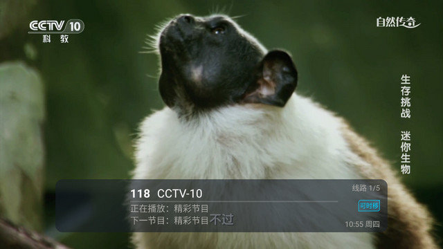 小吴电视免费无广告版下载v1.2