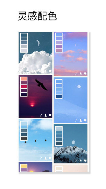 观色配色app下载v1.046
