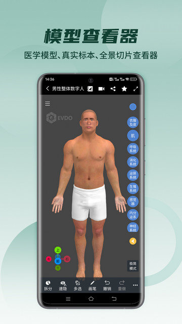 医维度解剖app下载v3.3.5