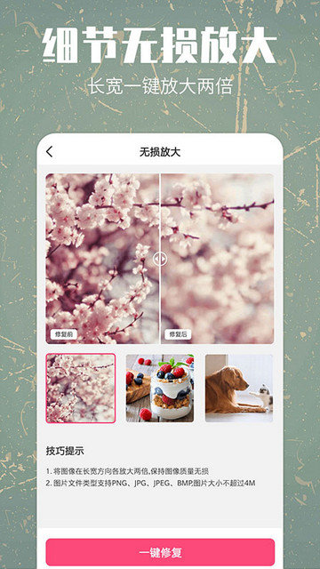 照片修复还原app下载v1.2.4