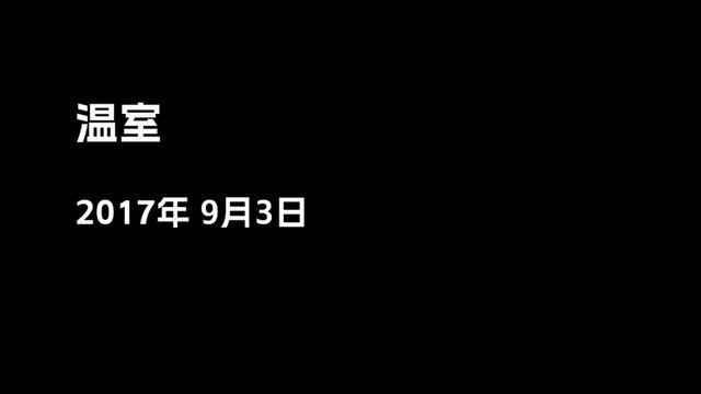 寂静之夜手游下载v0.2.11.281