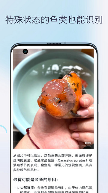 鱼类识别APP安卓版v1.0