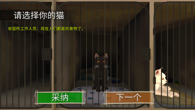 顽皮猫生活模拟无限金钱版v1.0