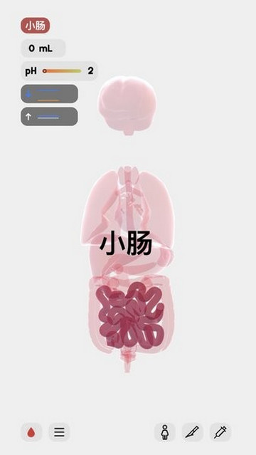 生命life破解版汉化版v1.0